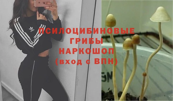 меф Зерноград