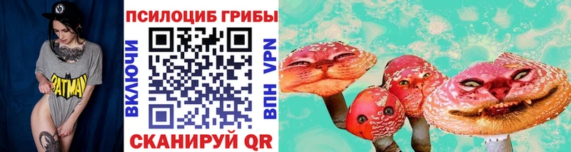 Псилоцибиновые грибы Magic Shrooms  Купить закладки  Донской 