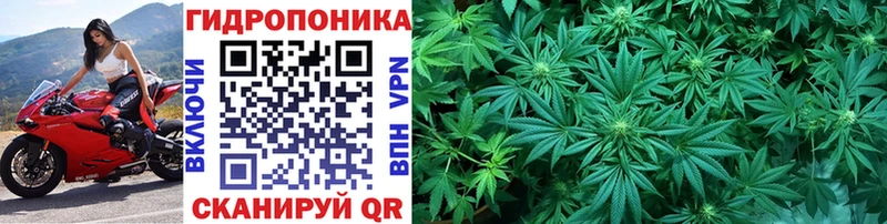 Купить Донской Каннабис конопля